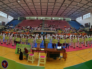 硬核!我校跆拳道队在2019年中国中学生跆拳道联赛中夺得多项冠军及团体总分第一！