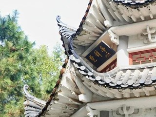 邀请函丨明德教育集团线上教学开放日，海量课程，总有一款适合你~